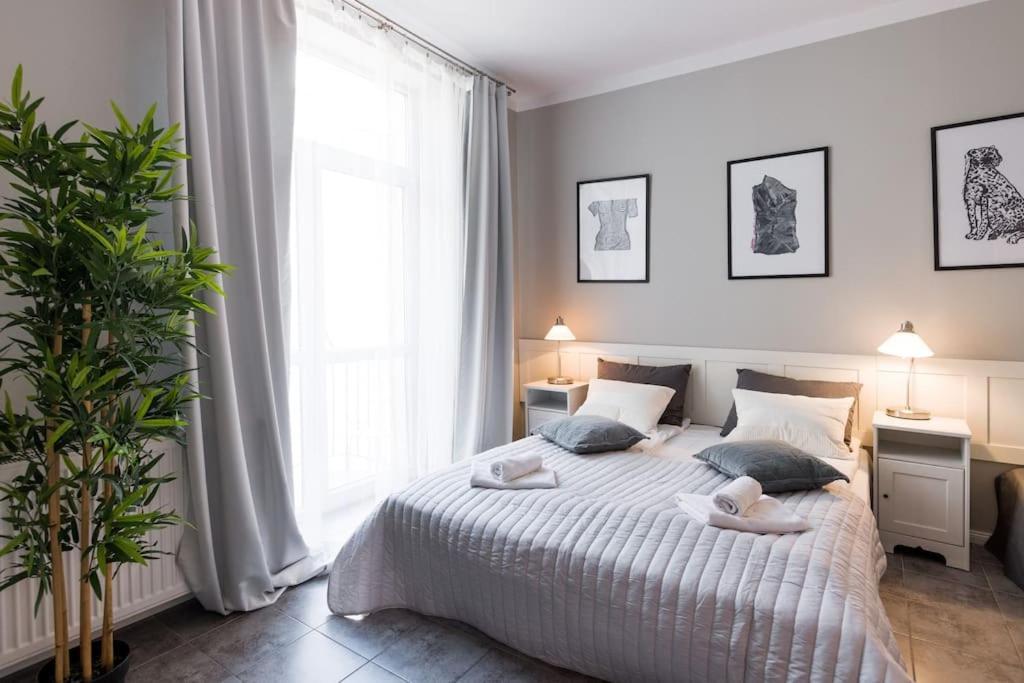 Florianska Deluxe Apartments With Air Condition كراكوفيا المظهر الخارجي الصورة
